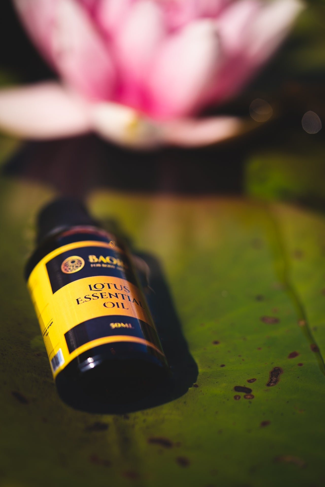 Premium lotus essential oil 50ml by Baorri- relaxing floral scent for diffuser, massage and radiant skin
