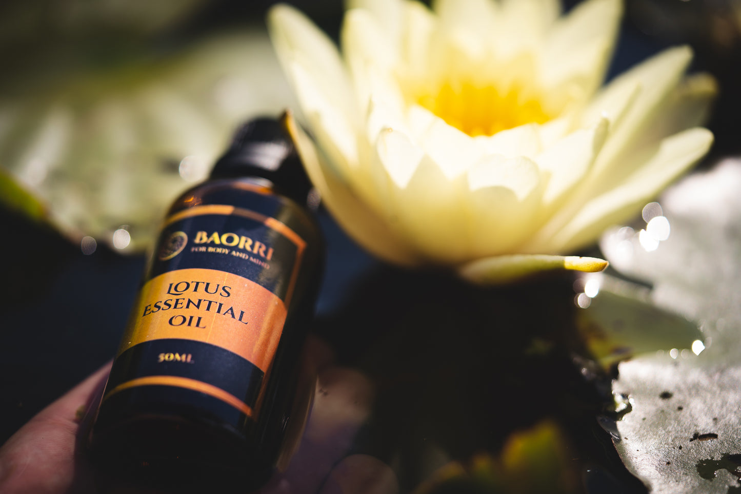 Baorri natural lotus oil -floral aroma for mindfulness , skincare rituals and calming self care moments