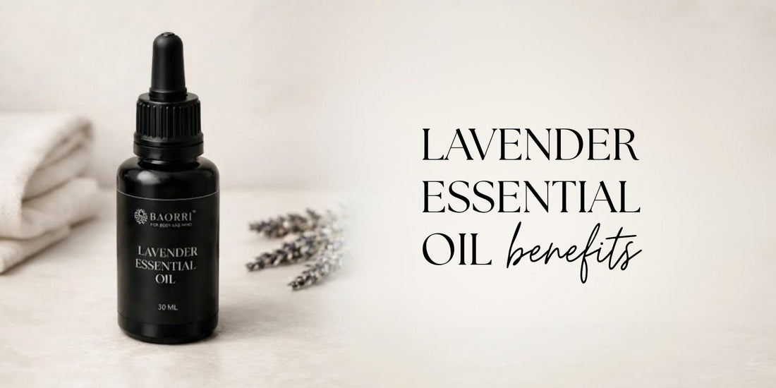 Benefits and Use of Lavender Essential Oil