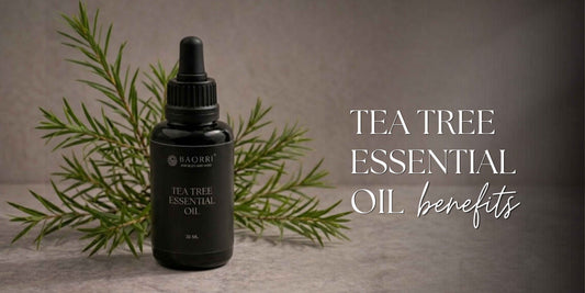 Tea Tree Oil For Benefits & Uses