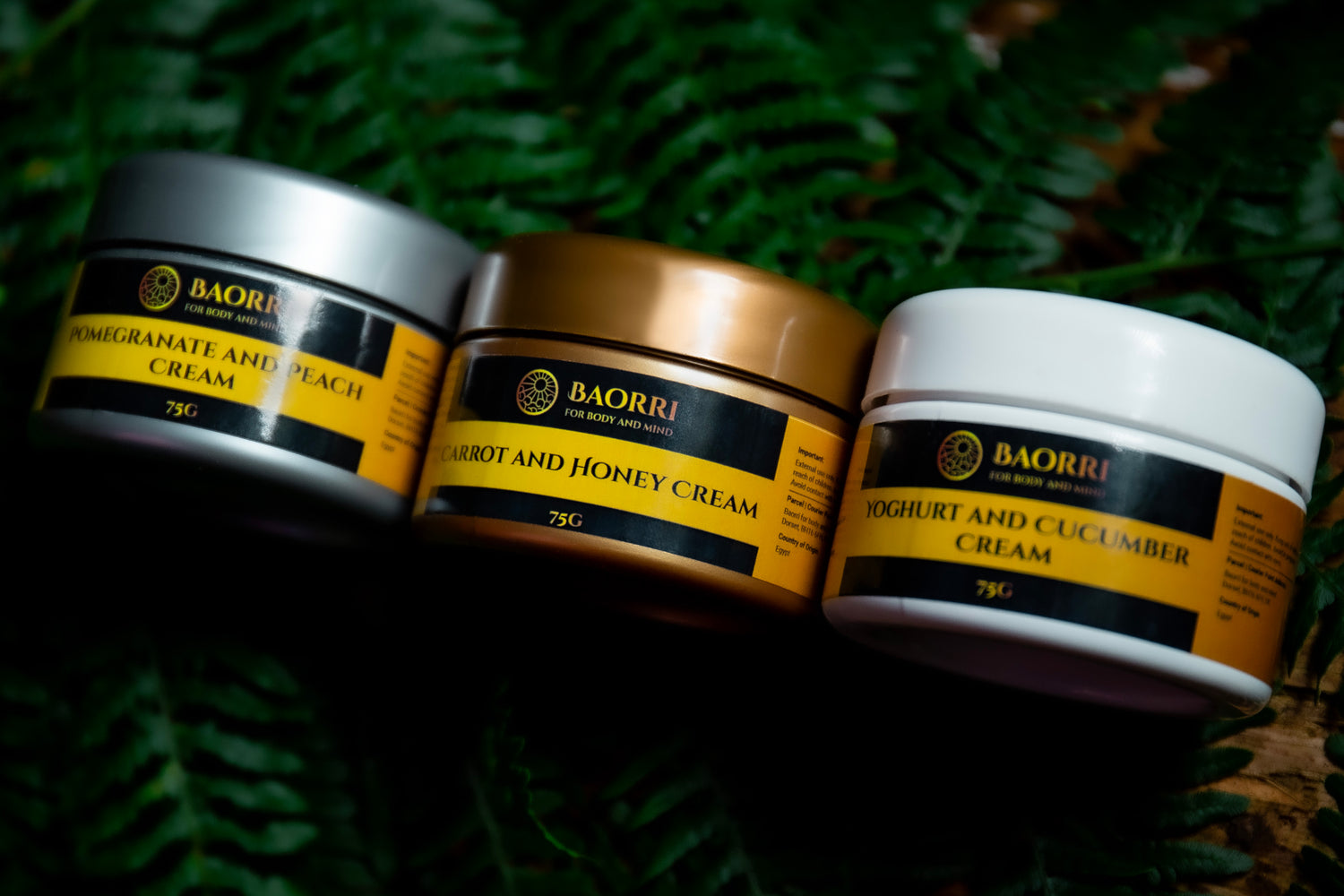 Fast Absorbing Non-Greasy Face Cream | Lightweight Texture